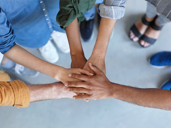 PECOFINSAS es Confianza