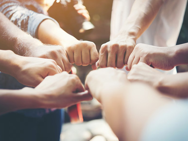 PECOFINSAS es Experiencia